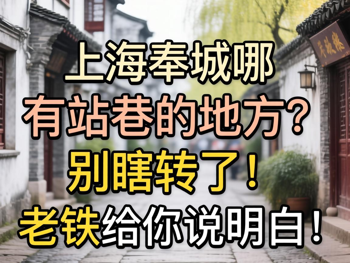 上海奉城哪有站巷的地方?别瞎转了!老铁给你说明白!