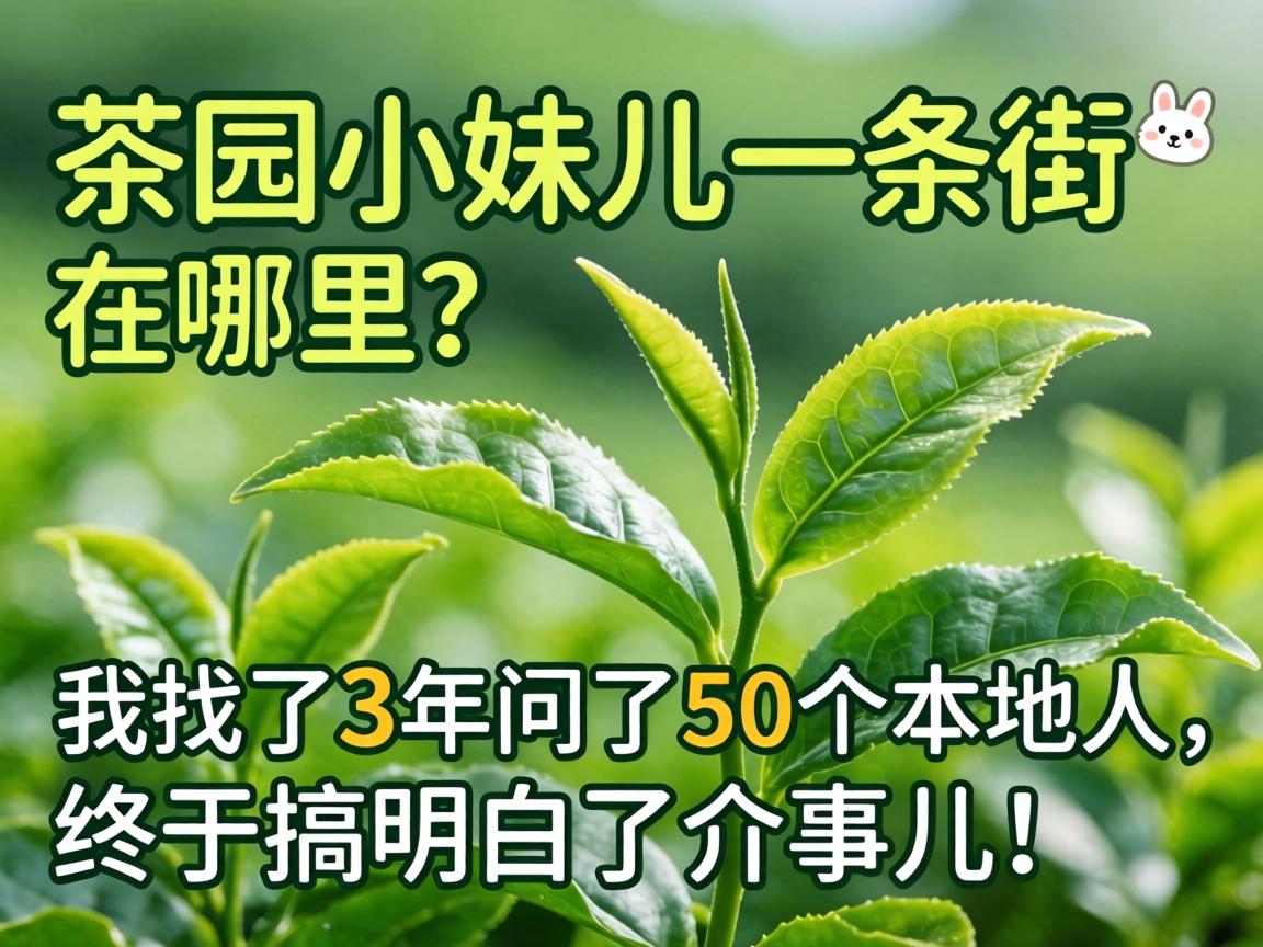 茶园小妹儿一条街在哪里?我找了3年问了50个本地人,终于搞明白了介事儿!