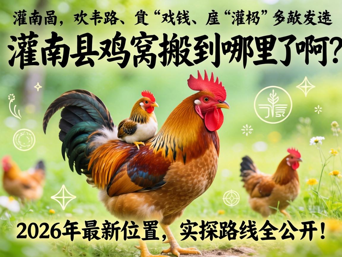 灌南县鸡窝搬到哪里了啊?2026年最新位置、实探路线全公开!